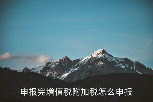附加稅在國(guó)家稅務(wù)局網(wǎng)如何申報(bào)表，網(wǎng)上申報(bào)城建稅教育附加稅怎么填