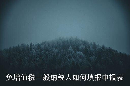 免稅如何填寫(xiě)申報(bào)表，免稅企業(yè)如何填報(bào)增值稅納稅申報(bào)表