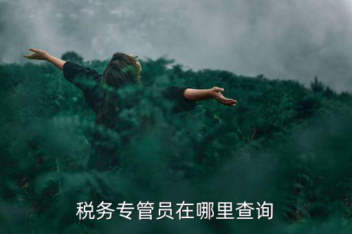 北京如何查詢稅務(wù)專管員，如何在網(wǎng)上查詢國稅專管員