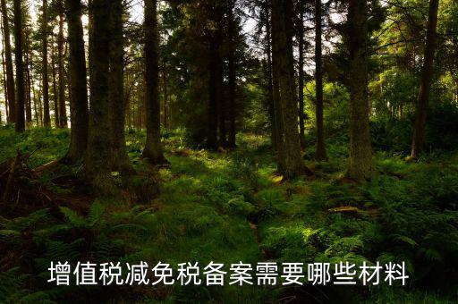 如何辦理納稅人減免稅備案登記，增值稅減免稅備案需要哪些材料