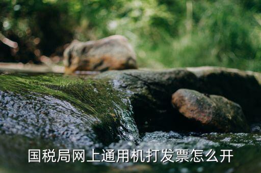 國稅局網上通用機打發(fā)票怎么開