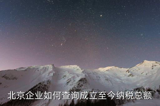 北京如何查詢公司的納稅等級，在國稅局要查一個公司的納稅情況怎么查