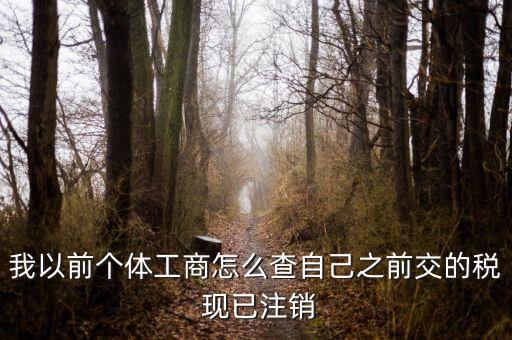 如何查詢稅務注銷，我以前個體工商怎么查自己之前交的稅 現(xiàn)已注銷