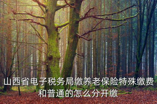 山西養(yǎng)老保險如何和國稅局對接，交養(yǎng)老保險交到國家稅務(wù)總局怎么辦