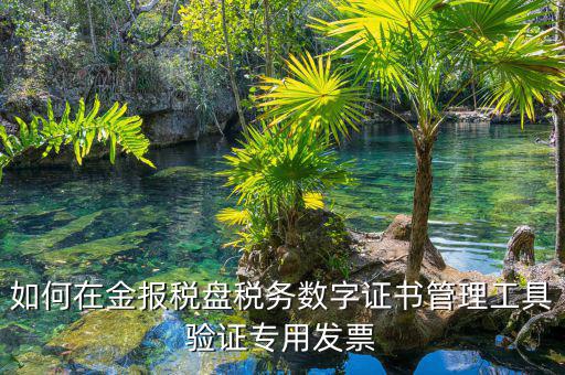 如何在金報稅盤稅務數(shù)字證書管理工具驗證專用發(fā)票