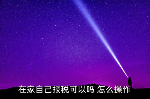 如何自行申報納稅，在家自己報稅可以嗎 怎么操作