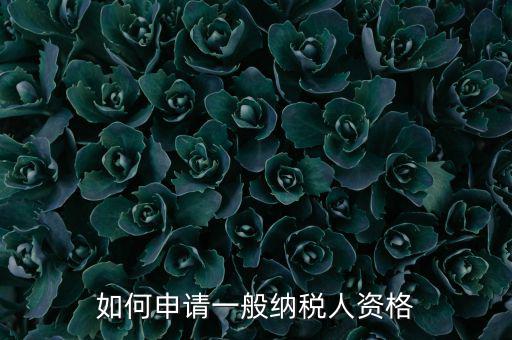 一般納稅人如何申請B級，一般納稅人B類企業(yè)如何申報企業(yè)所得稅