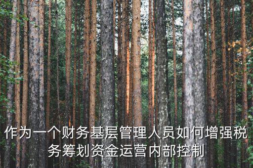 作為一個財務基層管理人員如何增強稅務籌劃資金運營內部控制