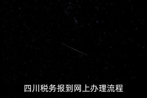 四川企業(yè)地稅如何網(wǎng)上申報系統(tǒng)，稅務(wù)申報如何網(wǎng)上申報