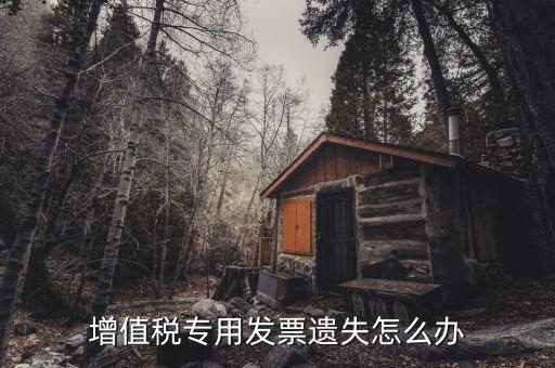 丟失專用發(fā)票如何，丟失空白增值稅專用發(fā)票如何處理