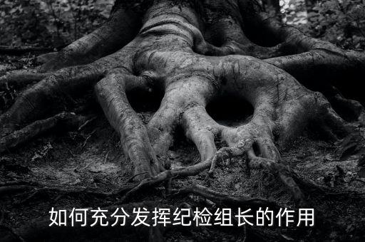 稅務(wù)局如何貫徹落實(shí)紀(jì)檢組長(zhǎng)的講話，如何充分發(fā)揮紀(jì)檢組長(zhǎng)的作用
