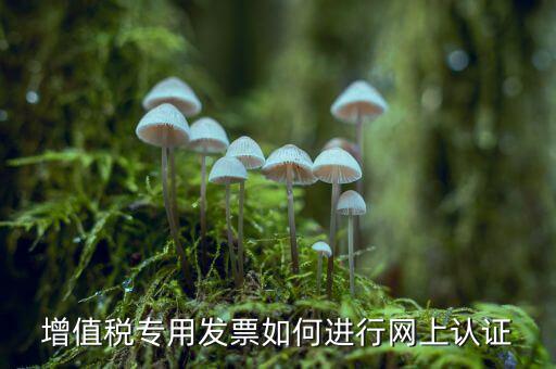 增值稅專票如何網(wǎng)上認(rèn)證，增值稅專用發(fā)票如何進(jìn)行網(wǎng)上認(rèn)證