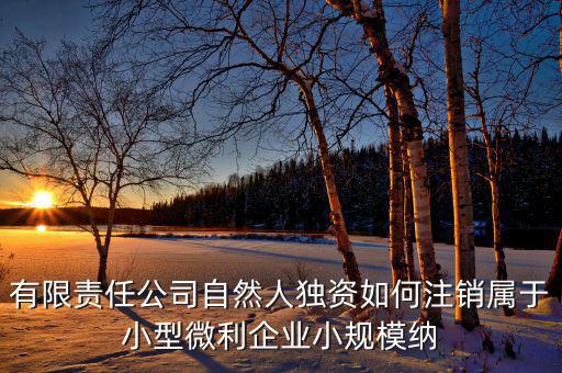 如何注銷小微企業(yè)所得稅，小微企業(yè)工商稅務(wù)注銷手續(xù)