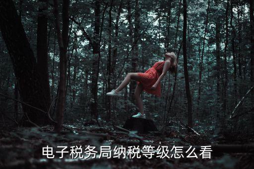 如何查詢納稅人納稅等級，電子稅務(wù)局納稅等級怎么看