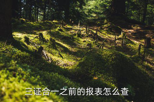 如何查三證合一之前的國稅數(shù)據(jù)，三證合一之前的報表怎么查