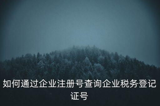 如何查詢公司稅務編號查詢系統(tǒng)，公司的稅務登記證號怎么查詢