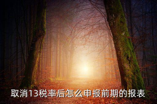 取消13稅率申報表如何填，13的稅率沒了納稅申報以后怎么辦