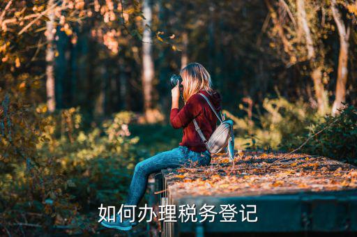 學(xué)術(shù)團體如何辦理稅務(wù)登記，如何辦理稅務(wù)登記