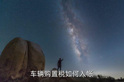 車購稅如何入賬，車輛購置稅如何入帳