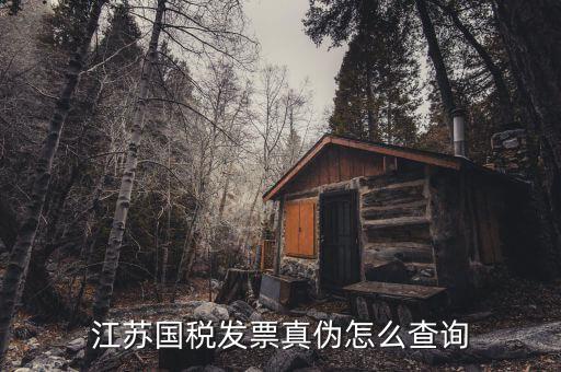 江蘇國(guó)稅發(fā)票真?zhèn)卧趺床樵?xún)