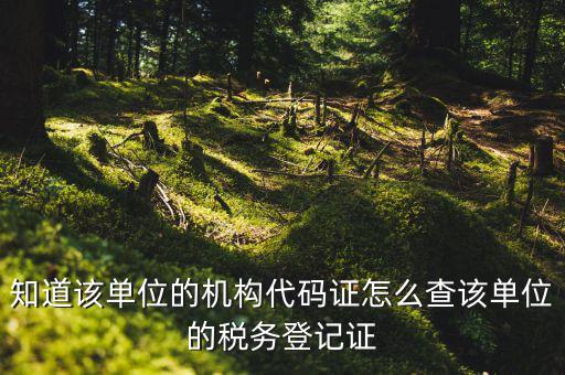 如何查企業(yè)稅務(wù)登記證號，公司的稅務(wù)登記證號怎么查詢