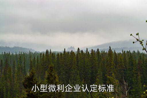如何確定是小微企業(yè)，小型微利企業(yè)認定標準