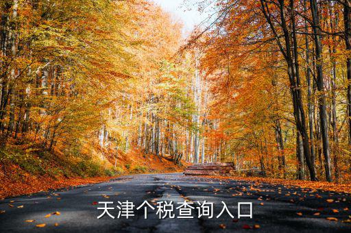 天津個稅如何查詢密碼，天津個稅查詢?nèi)肟?/></a></span><span id=