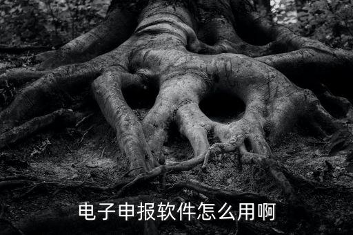 濟(jì)南電子稅務(wù)如何使用，網(wǎng)上辦稅平臺(tái)手機(jī)app怎么操作