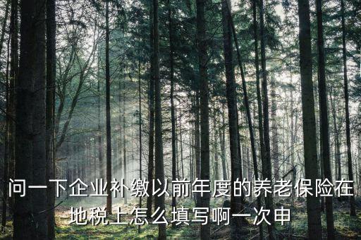 如何補打地稅社會保險費申報表，在網(wǎng)上交完社保后要怎樣補打社會保險費申報表