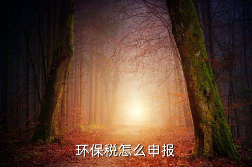 環(huán)境保護(hù)稅b類如何申報(bào)表，環(huán)保稅申報(bào)步驟是什么