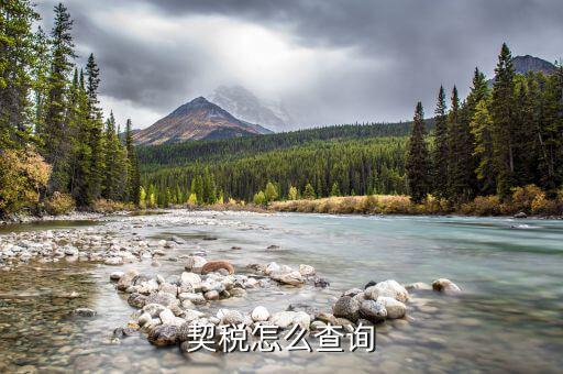 契稅怎么查詢(xún)