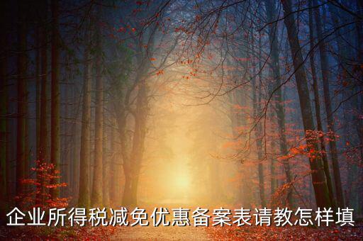 企業(yè)所得優(yōu)惠備案如何，企業(yè)所得稅減免優(yōu)惠備案表請教怎樣填