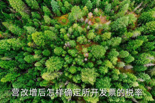 開(kāi)票時(shí)稅率如何確認(rèn)，發(fā)票的稅是怎么算的是不是數(shù)額越大要繳稅的百分比就越大比