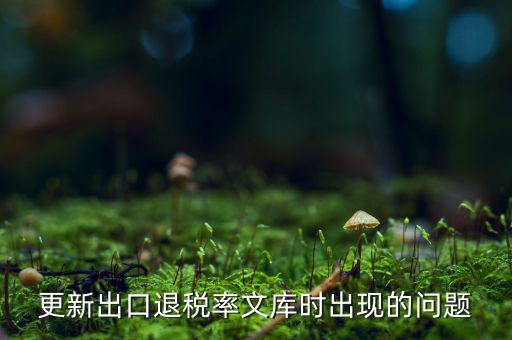 出口退稅文庫如何更新，請問各位出口退稅系統(tǒng)里的代碼庫怎么更新啊怎么老沒反應(yīng)的呢