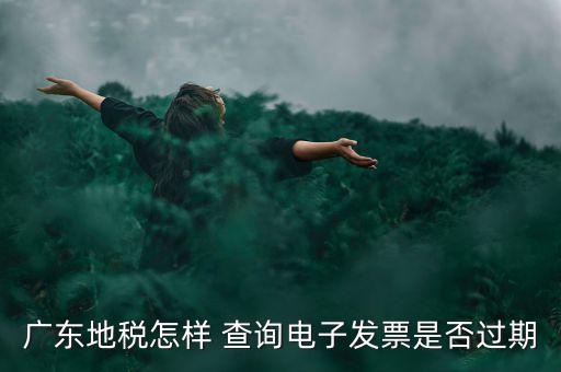 如何查詢電子發(fā)票是否有效，廣東地稅怎樣 查詢電子發(fā)票是否過期