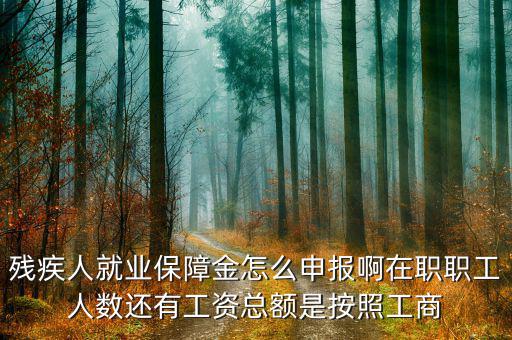 廣西殘疾人保障金如何申報(bào)，單位人數(shù)不固定怎么申報(bào)殘疾人保障金