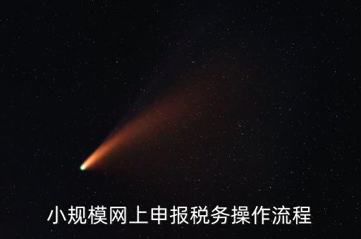 小規(guī)模網上申報稅務操作流程