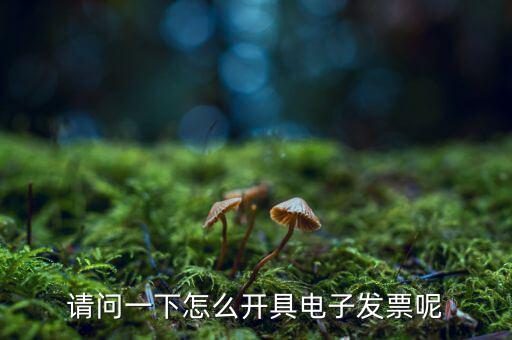 上海如何申領(lǐng)電子發(fā)票，請問一下怎么開具電子發(fā)票呢