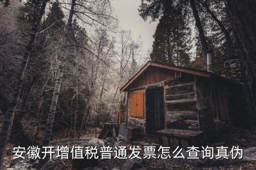 安徽省如何查稅票真假，安徽開增值稅普通發(fā)票怎么查詢真?zhèn)?/></a></span><span id=