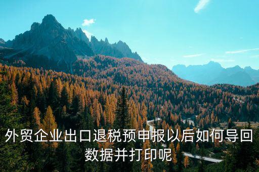 出口退免稅備案如何打印，外貿(mào)企業(yè)出口退稅預(yù)申報(bào)以后如何導(dǎo)回?cái)?shù)據(jù)并打印呢