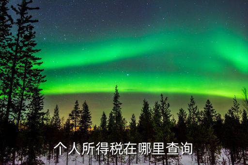 江蘇自然人如何查詢個(gè)稅繳納，個(gè)人稅怎么查