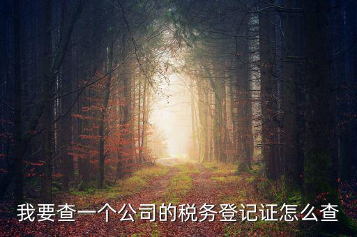 如何查企業(yè)的稅務(wù)登記證號，公司的稅務(wù)登記證號怎么查詢