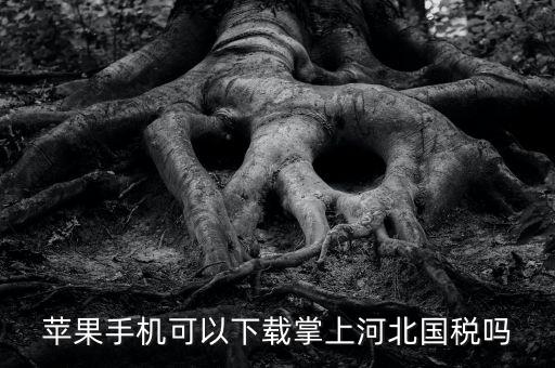 河北掌上國稅如何注冊，蘋果手機(jī)可以下載掌上河北國稅嗎