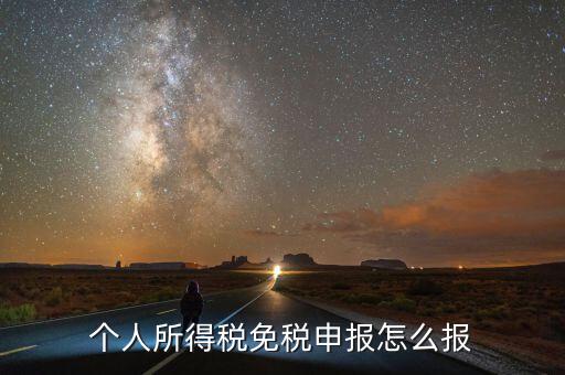 個人所得稅免稅申報(bào)怎么報(bào)
