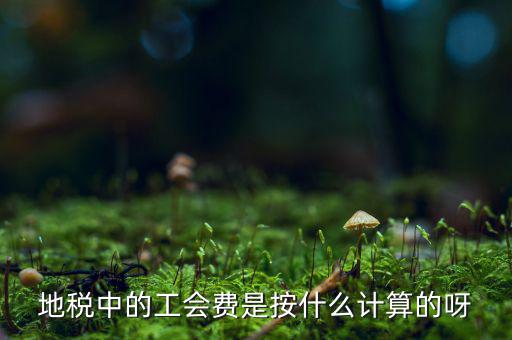 交地稅時(shí)的工會(huì)經(jīng)費(fèi)如何計(jì)算方法，地稅中的工會(huì)費(fèi)是按什么計(jì)算的呀