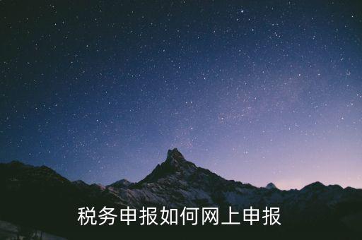 網(wǎng)上系統(tǒng)如何申報(bào)稅，稅務(wù)申報(bào)如何網(wǎng)上申報(bào)