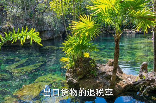 如何查詢產(chǎn)品的退稅率，產(chǎn)品的出口退稅率要怎么查詢