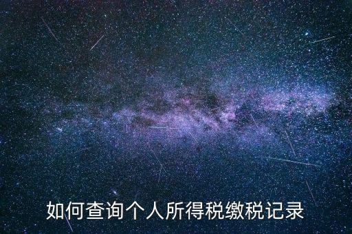 上海地稅局如何查個人所得稅繳稅記錄，上海市工資個稅繳納記錄如何查詢