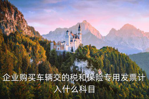 汽車保險(xiǎn)收到專票如何入賬，車輛保險(xiǎn)怎么入賬