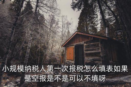 如何填寫(xiě)首次辦稅補(bǔ)充信息表，稅務(wù)登記補(bǔ)充信息采集表怎么填 誰(shuí)知道啊